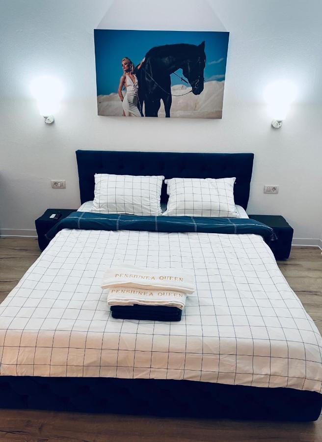 Pensiunea Queen Remetea Mare Bagian luar foto